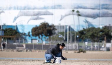Long Beach partners with county, nonprofit to continue efforts to clean up trash from LA River – Press Telegram