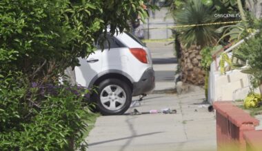 Girl dies, 2 others injured in Long Beach after SUV reverses onto porch – Press Telegram