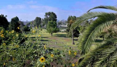 LA County awards over $36M for parks, coastal projects in South Bay, Long Beach – Press Telegram