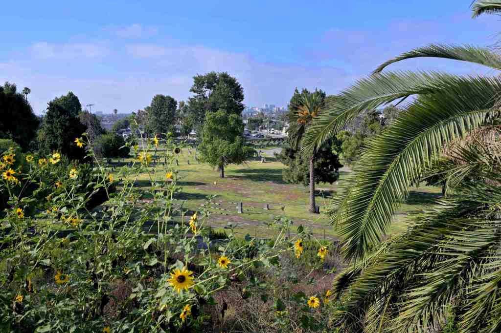 LA County awards over $36M for parks, coastal projects in South Bay, Long Beach – Press Telegram