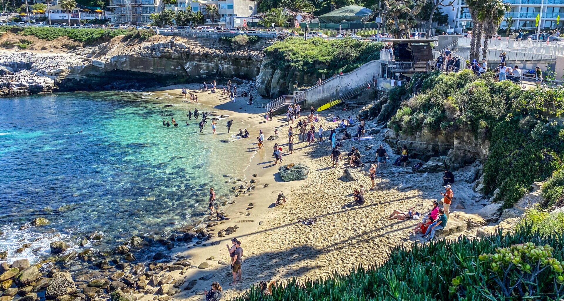 TripAdvisor names La Jolla Cove best beach in United States