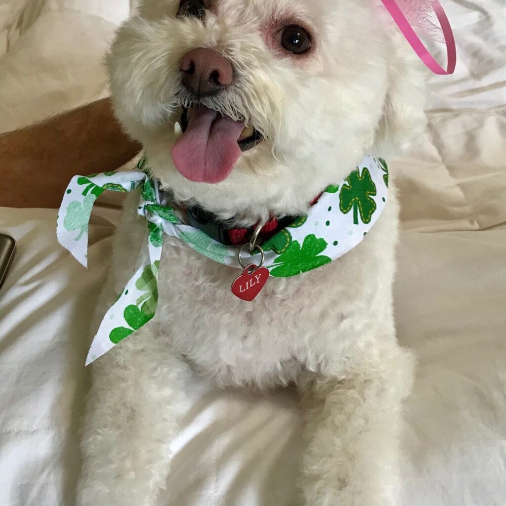 Time may not heal this wound, or fill the deafening silence – San Diego Union-Tribune