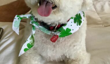 Time may not heal this wound, or fill the deafening silence – San Diego Union-Tribune