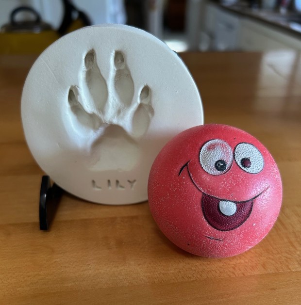 Lily's plaster-cast paw print and her favorite ball, Squeaky Pup, are mementos of her. (Inga)