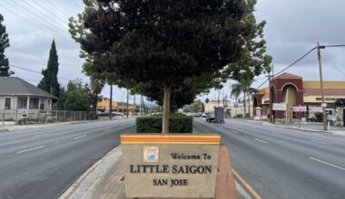 Meet the candidates running for District 7 San Jose City Council