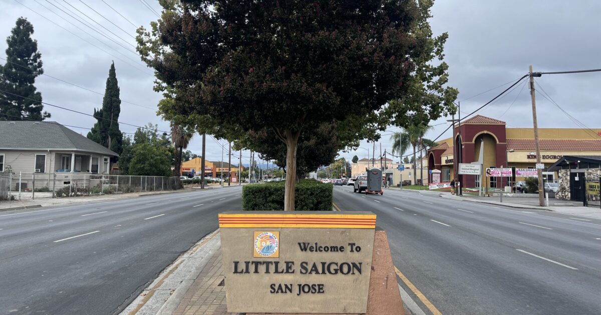 Meet the candidates running for District 7 San Jose City Council