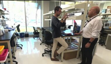 San Diego scientists discover gene in plants that could slow drought impacts – NBC 7 San Diego