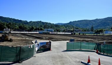 The Great Vanishing | Los Gatan