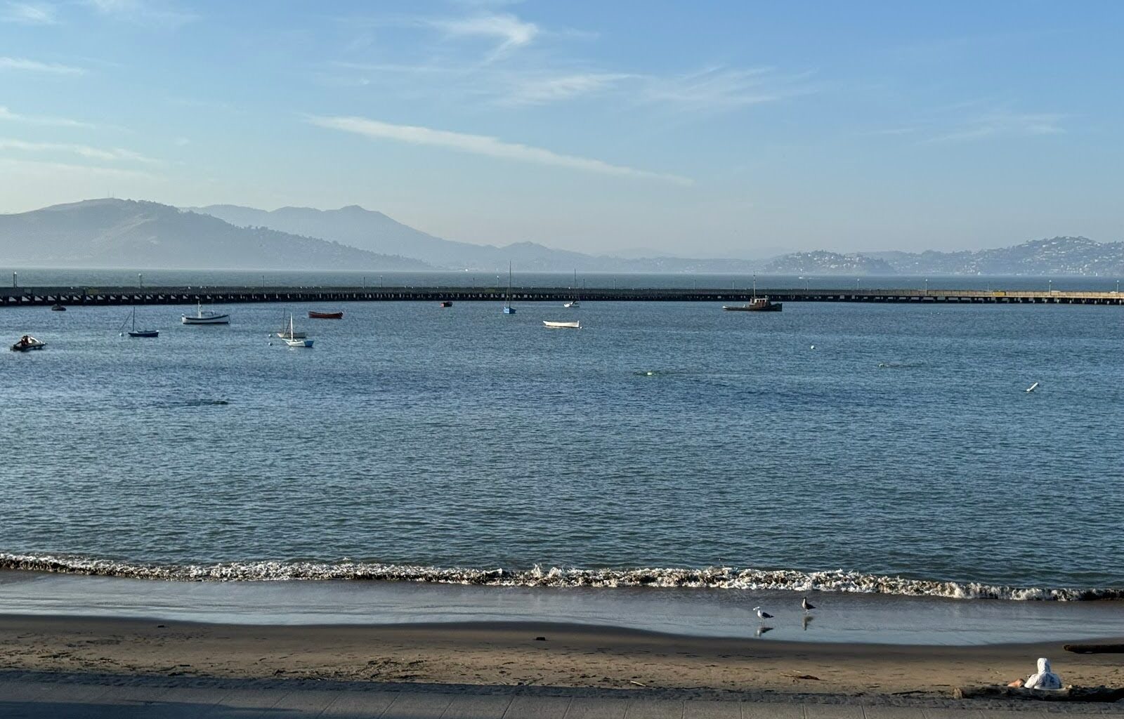Boats on San Francisco Bay near a beach