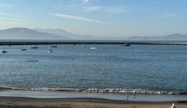 Boats on San Francisco Bay near a beach
