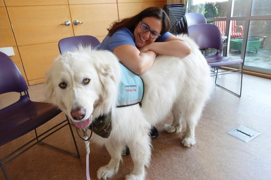 A woman in glasses leans over and hugs a large white therapy dog wearing a blue vest in a waiting room with purple chairs.