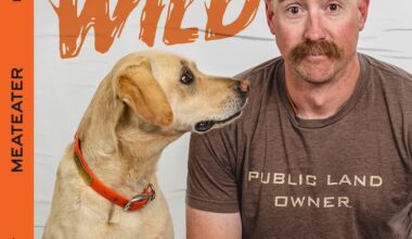 Ep. 458: Tipsy Hawks, Crime, and Grizzlies in California?