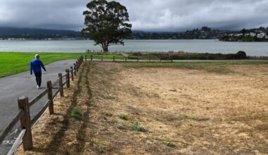 Tiburon pursues final designs for four parks