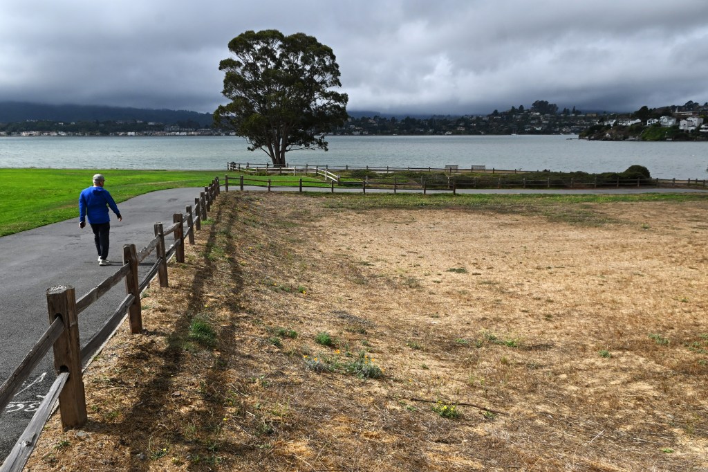 Tiburon pursues final designs for four parks