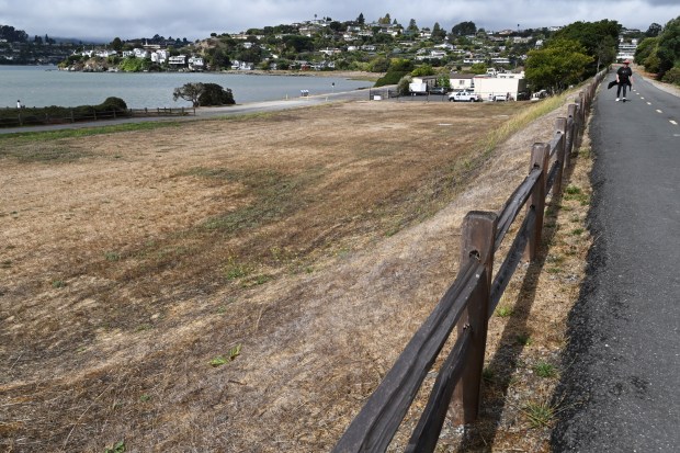The Richardson Bay Sanitary District's former storage ponds, now filled in, at Tiburon Linear Park in Tiburon, Calif., on Tuesday, Sept. 30, 2025. (Alan Dep/Marin Independent Journal)