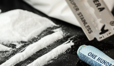 Man who flew cocaine from California to Bessemer on private plane pleads guilty to reduced charge