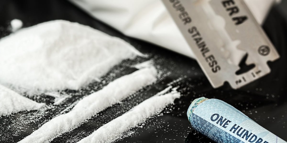 Man who flew cocaine from California to Bessemer on private plane pleads guilty to reduced charge