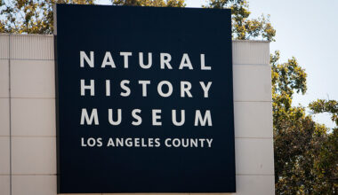 Natural History Museum to Open Orcas Exhibit