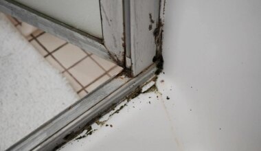 Do dorm mold horror stories spread faster than microbial growth? — The Panther Newspaper