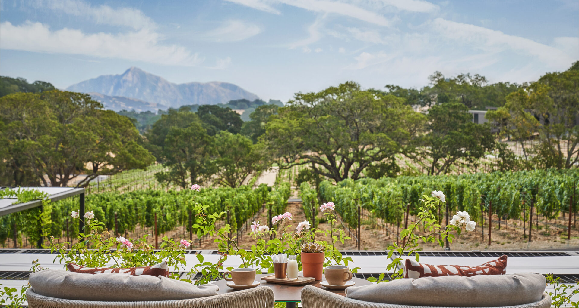 Two lounge chairs in front of a vineyard.