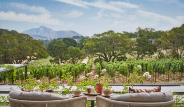 Two lounge chairs in front of a vineyard.