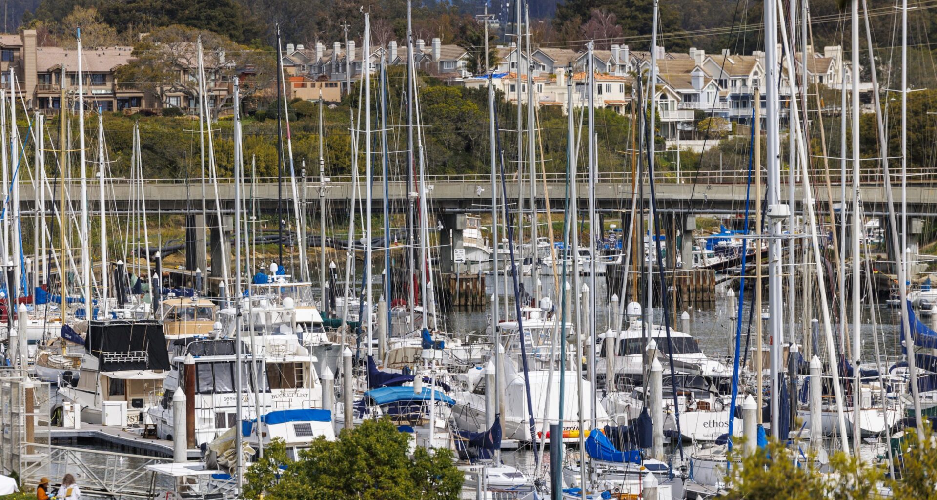 After years of closure, California salmon fishing set to reopen this spring — with tight limits