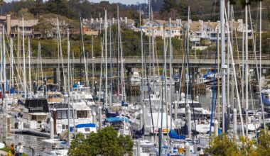 After years of closure, California salmon fishing set to reopen this spring — with tight limits