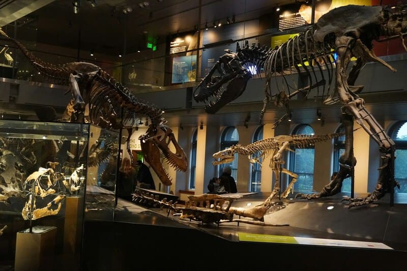 Dinosaur hall in NHM LAC.