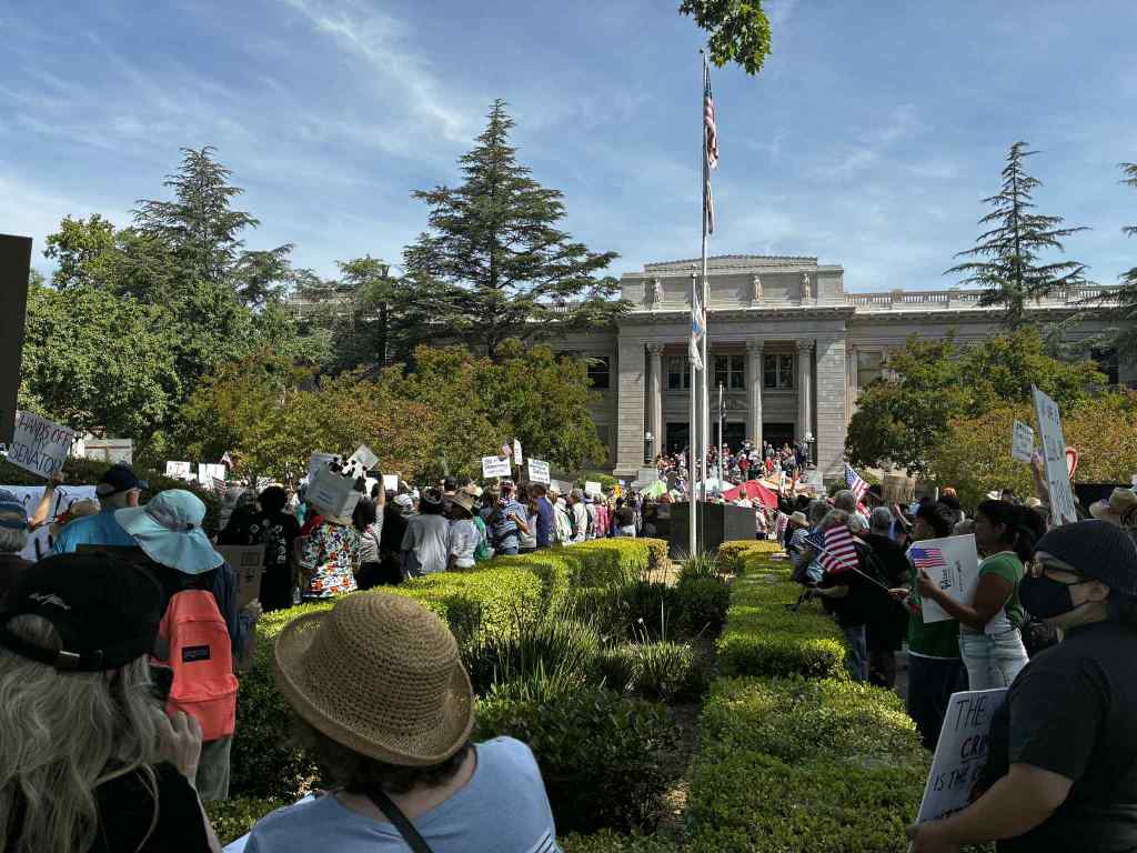 Indivisible Yolo to host third ‘NO KINGS’ march in West Sacramento – Daily Democrat