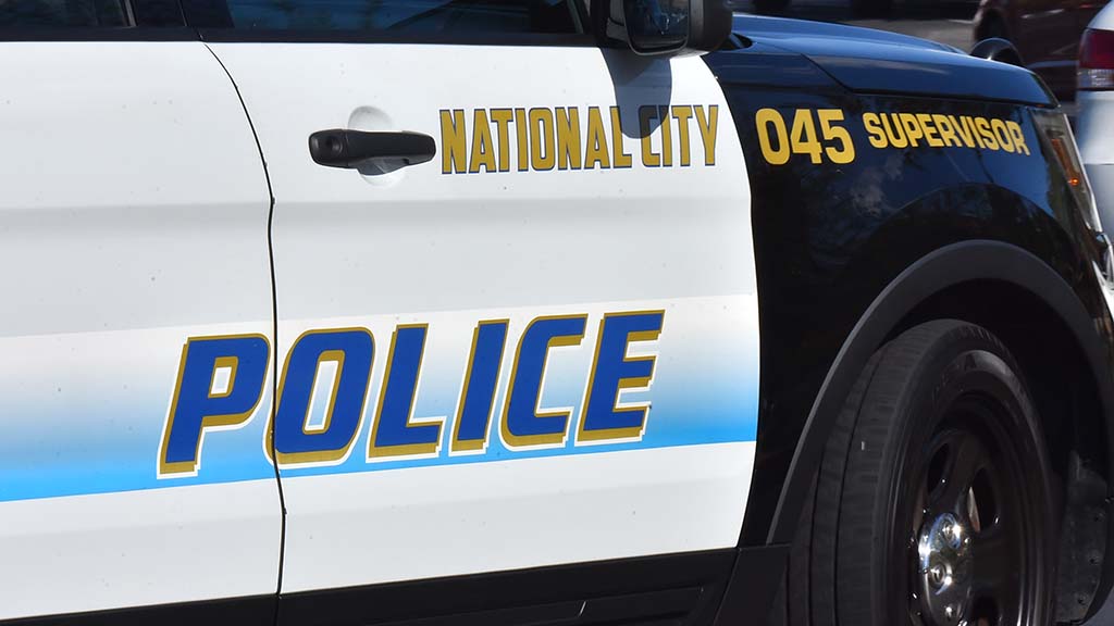 At least 3 stabbed at National City gathering