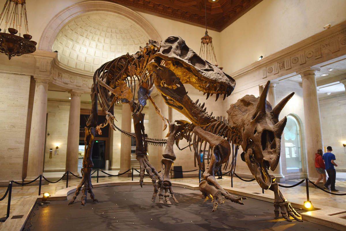 This California Museum Has The World's Only Display Of Baby, Juvenile, And Adult Tyrannosaurus Rex Skeletons — Here's How You Can See It For Free