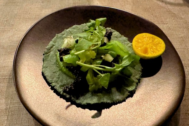 Mestiza's pork dinuguan taco, from chefs Amanda Perez and Jon Fuentebella. (Photo by Brock Keeling, Orange County Register/SCNG)
