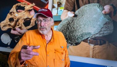 Paleontologist and lecturer Jack Horner ‘no longer with’ Chapman University – Orange County Register