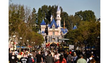 Rising gas prices could mean a rough summer for theme parks – Orange County Register