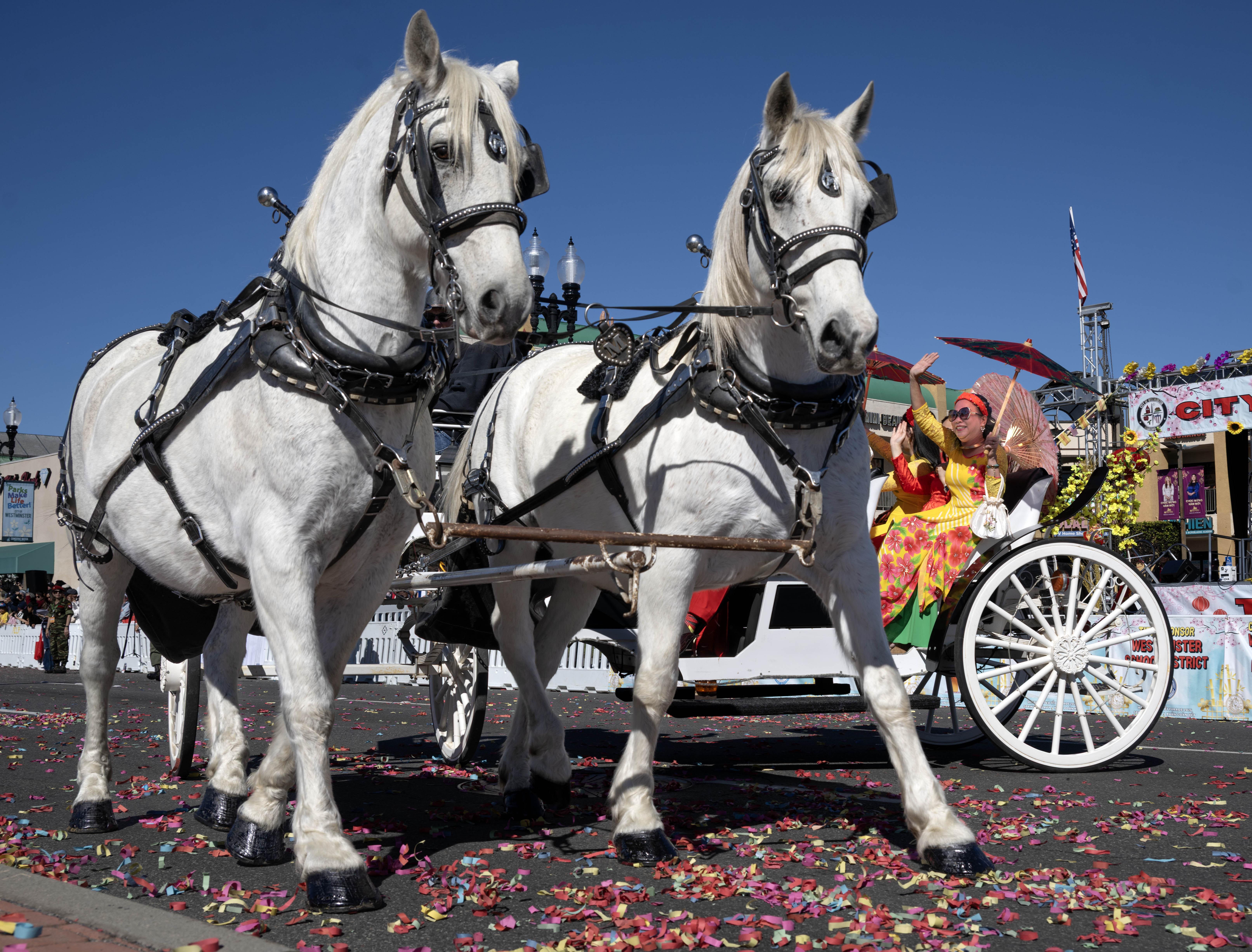 Westminster City Council members take a horse-drawn carriage ride during...