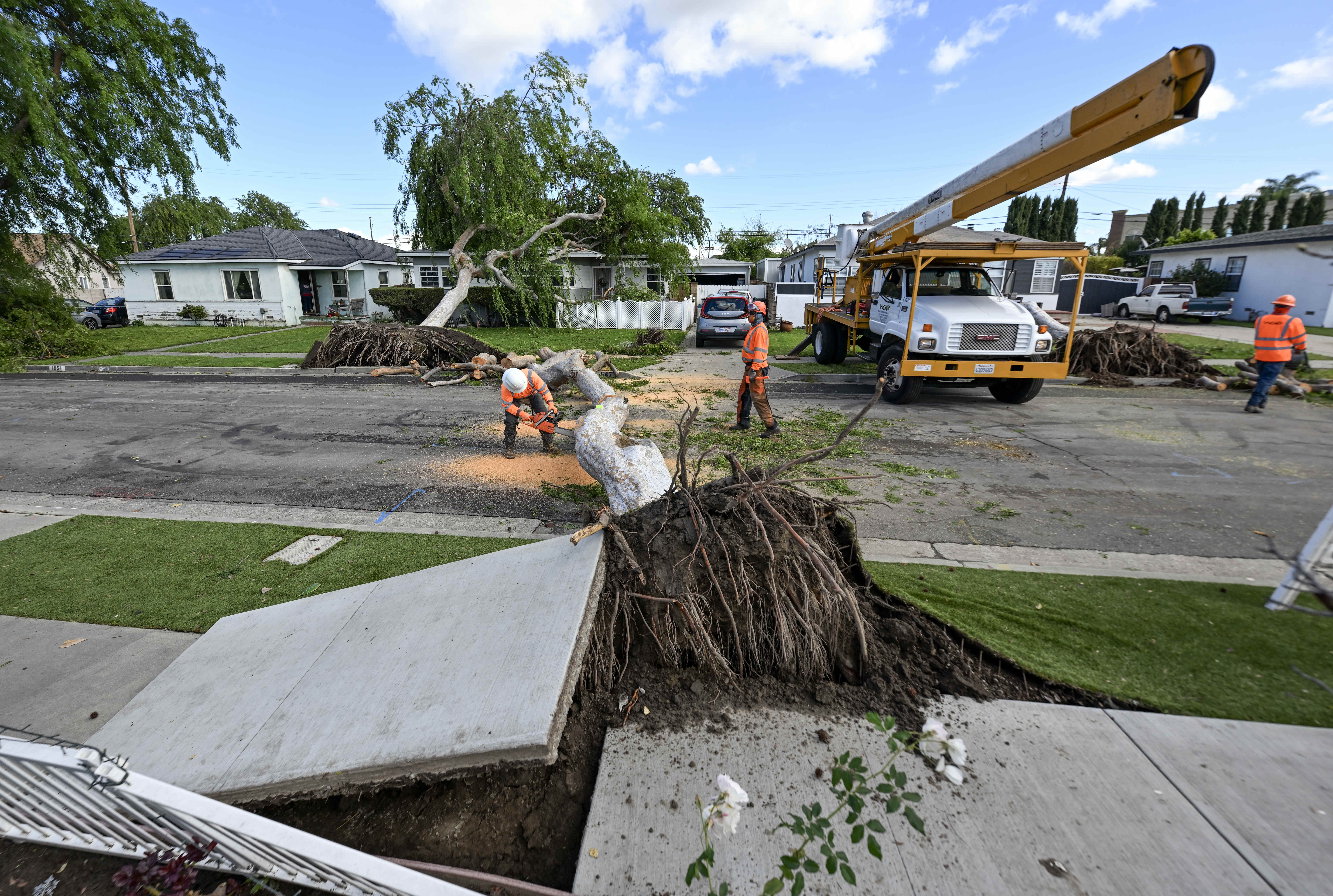 Workers cut up trees that fell during high winds in...