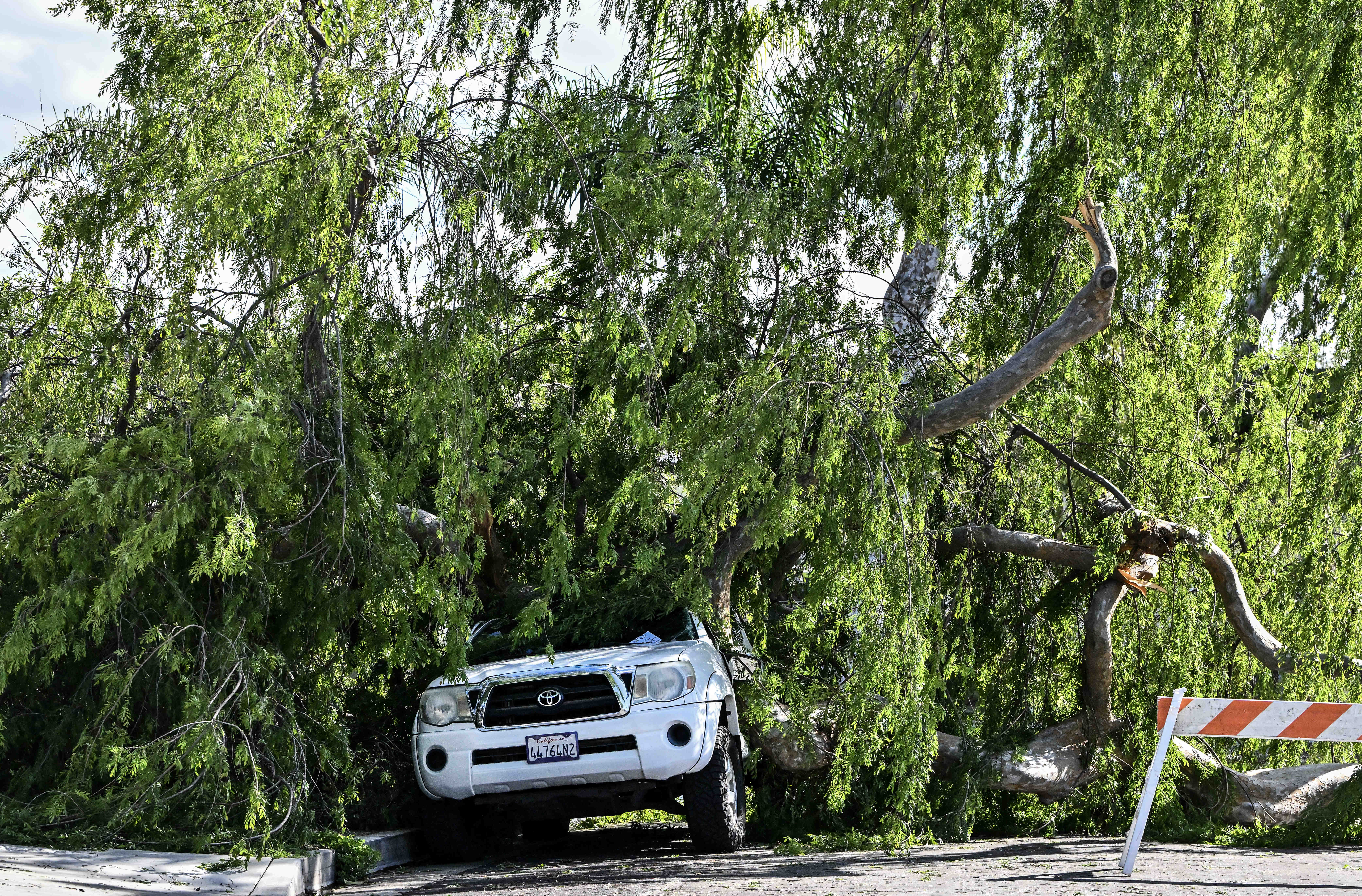 A car is stuck under a tree that fell during...
