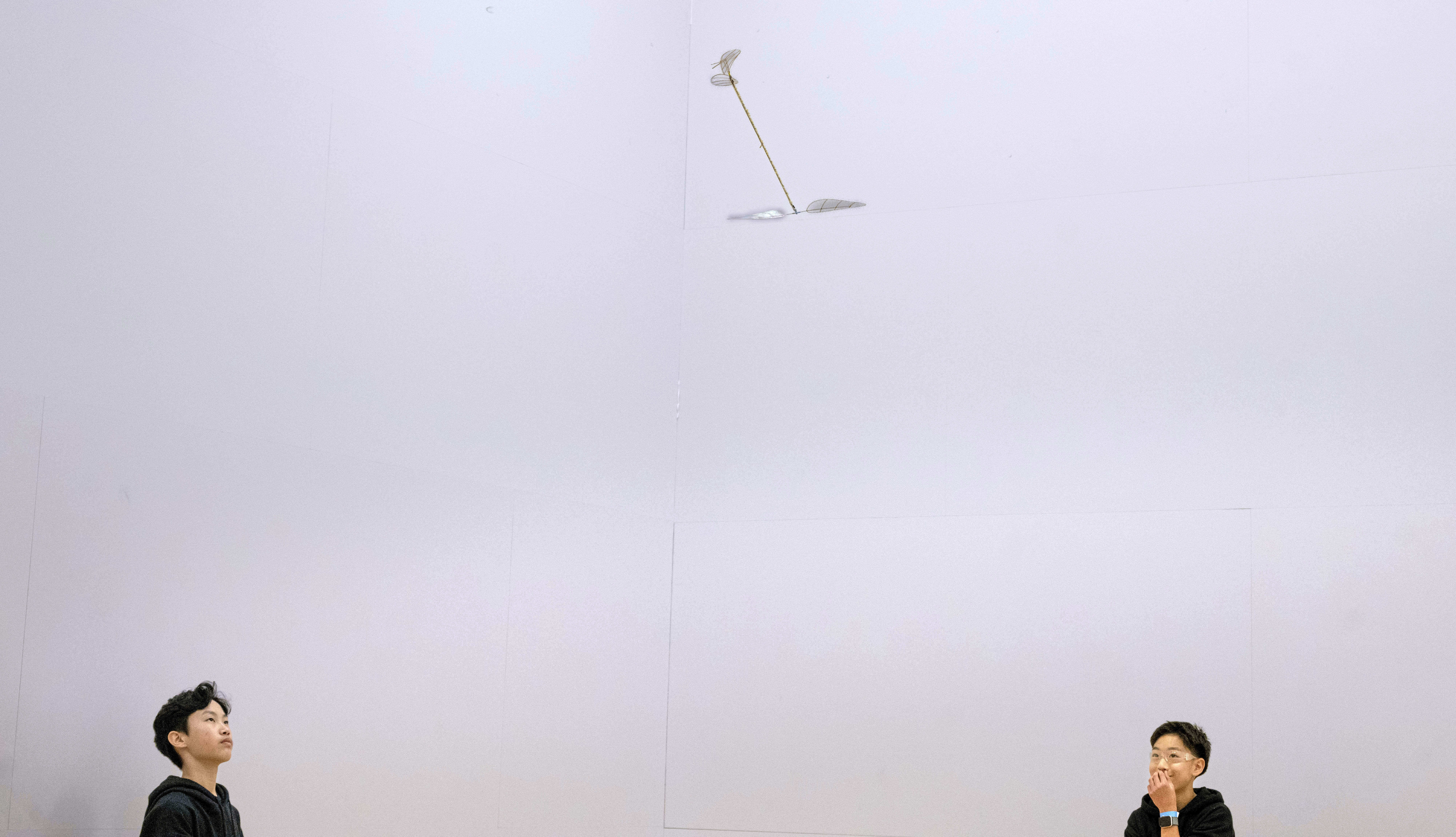 Suin Kim, left, and Jeremy Wang, both 13, from Rancho...