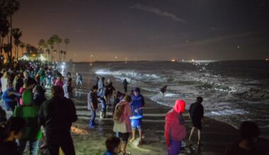 When is the 2026 Grunion run? How to see the fish out of water experience – Orange County Register