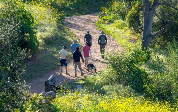 A group of hikers make their way along a trail in Santiago Oaks Regional Park in Orange, on Saturday morning, February 28, 2026. (Photo by Mark Rightmire, For the Orange County Register/SCNG)