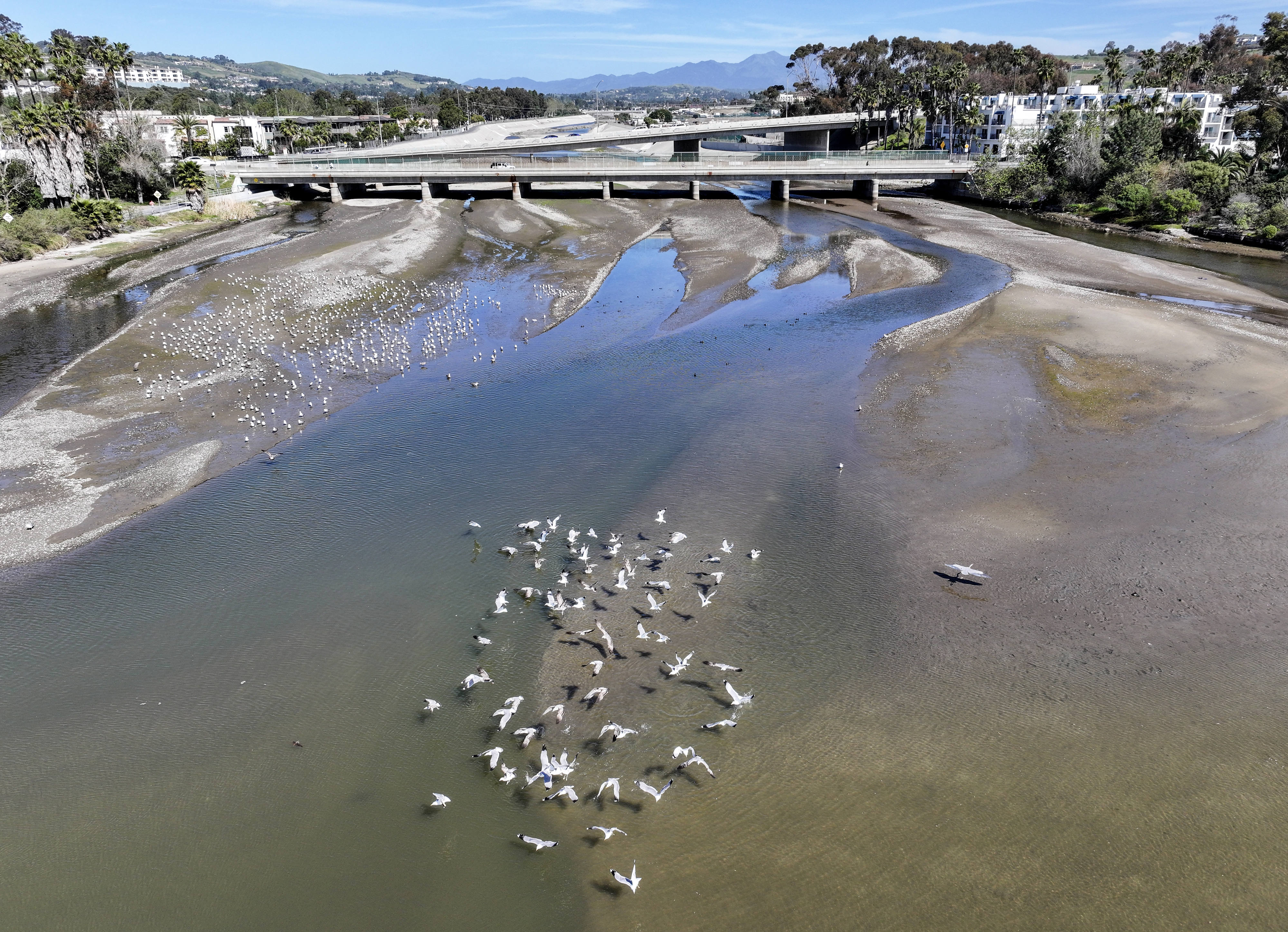 The mouth of San Juan Creek where it empties in...