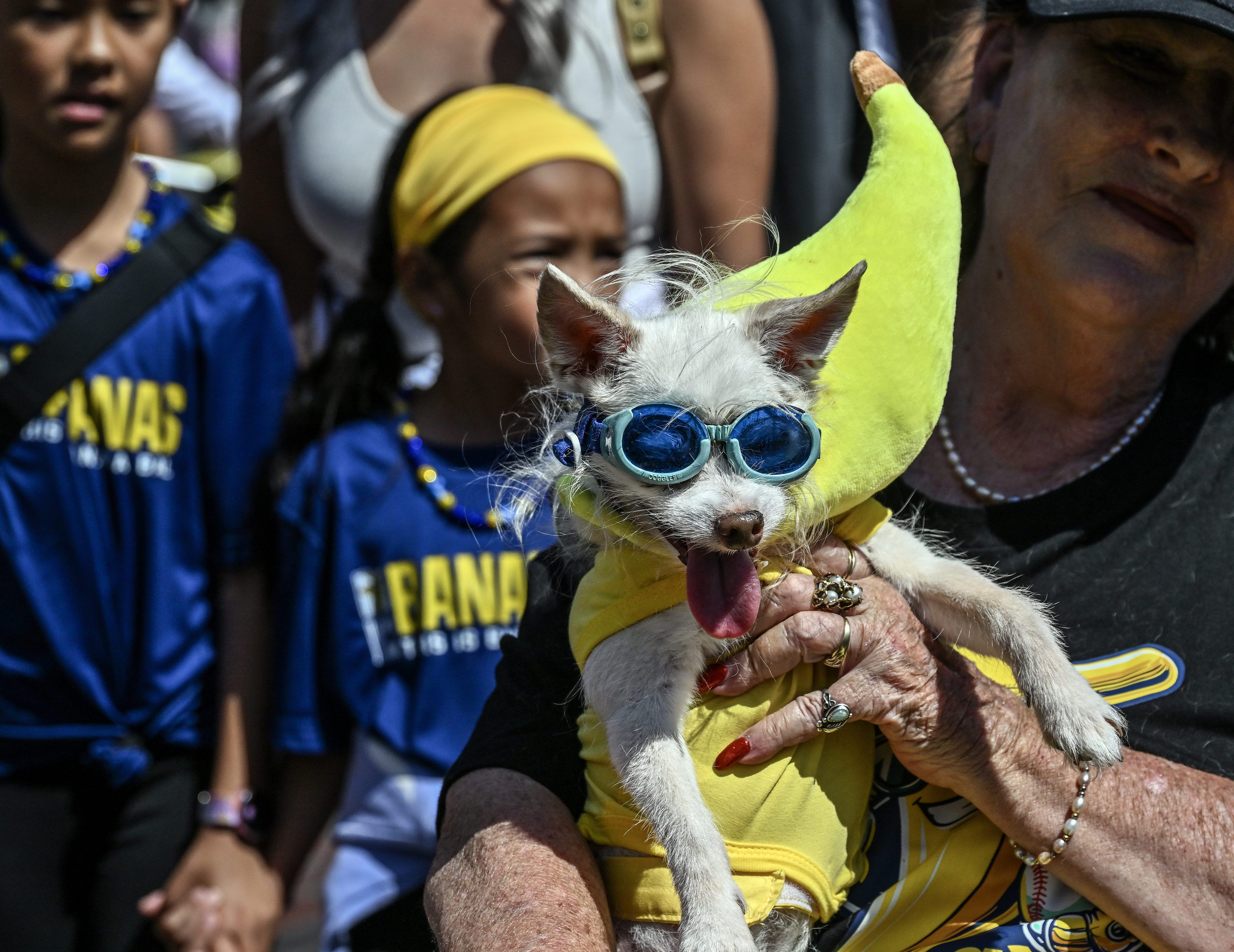 Jeannette Hensley holds Lucky the dog during a small parade...