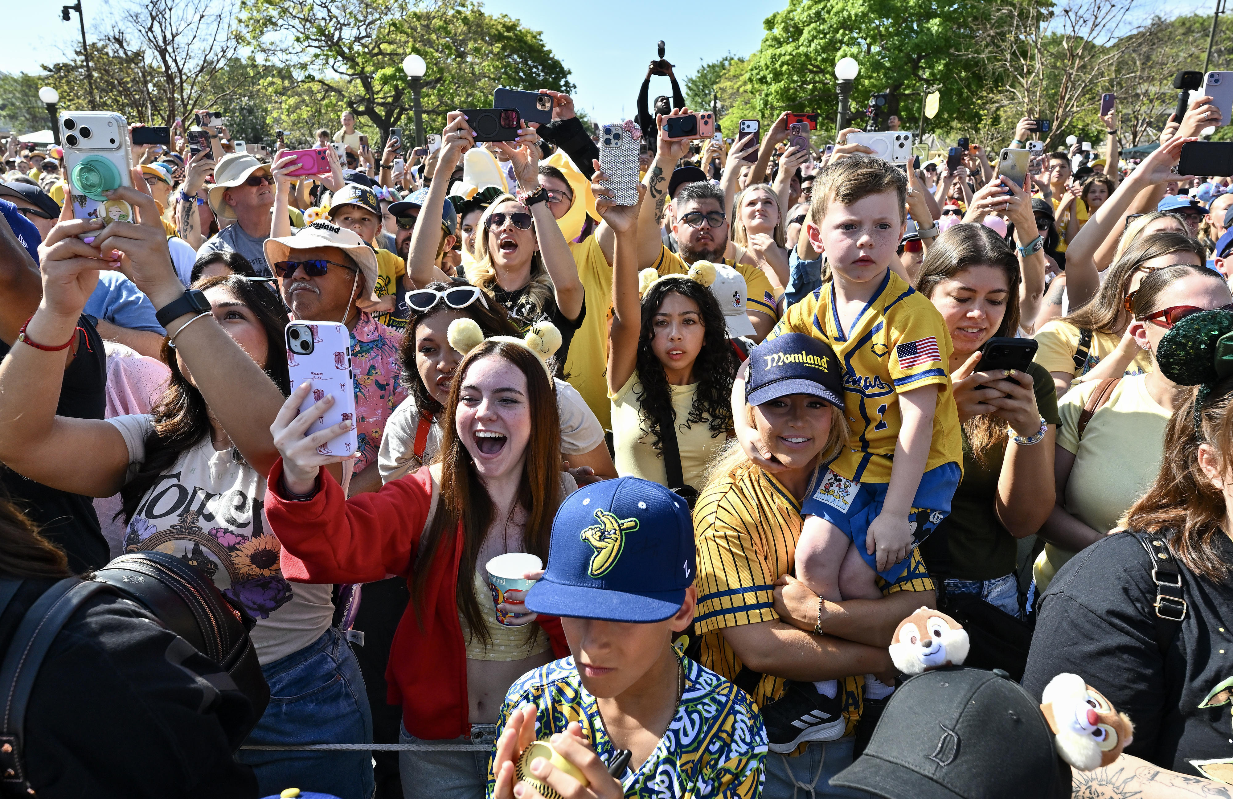Fans cheer on the Savannah Bananas as they perform in...