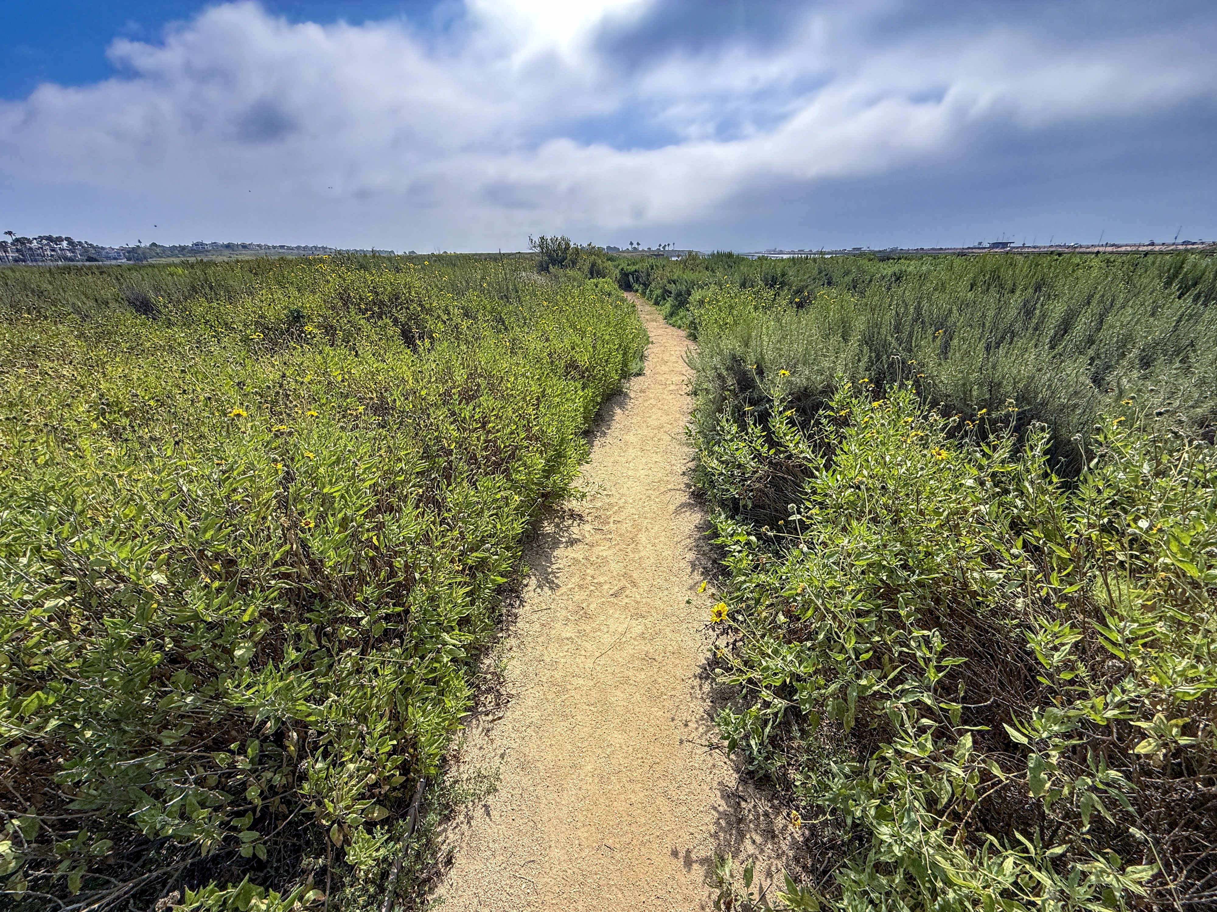 A trail at the Bolsa Chica Wetlands in Huntington Beach,...