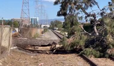L.A. canyon home burns, tree falls on railroad tracks in Anaheim as Santa Ana winds kick up – Daily News