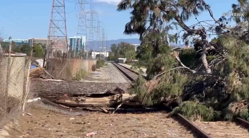 L.A. canyon home burns, tree falls on railroad tracks in Anaheim as Santa Ana winds kick up – Daily News