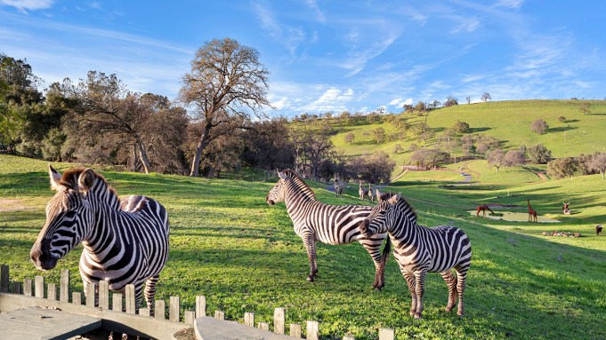 A 137-Acre California Preserve Hits the Market for $5.1 Million