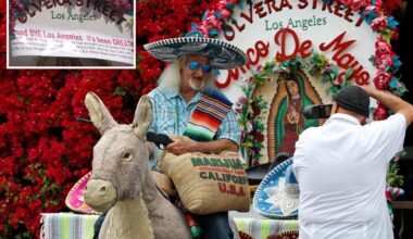 Iconic Los Angeles donkey attraction in peril