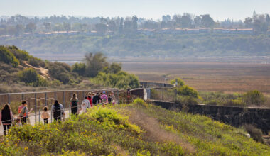 Free Things to Do: Family-Friendly Outdoor Activities