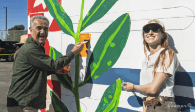 After deadly crashes, Pacific Beach plans murals to slow drivers